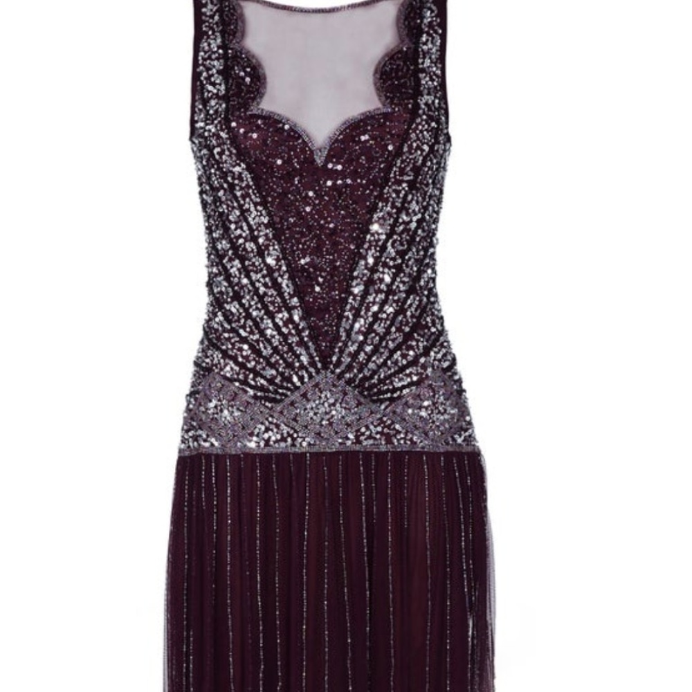 1920's Inspired Vintage Fringe Flapper Dress (4)